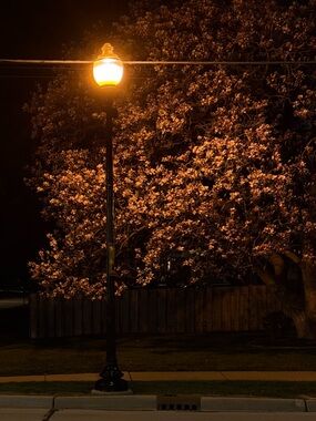 Meet your Posher, Nic